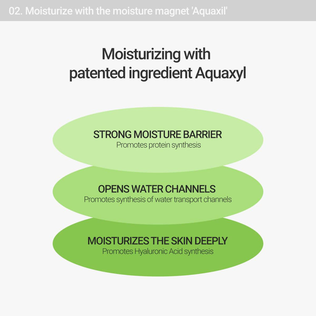 Calming Lotus Cream – Lightweight Hydrating & Soothing Moisturizer Face Cream for Sensitive Skin | 75% Lotus Water Extract & Niacinamide for Anti-Aging | Vegan Korean Skincare (2.03 Fl Oz)