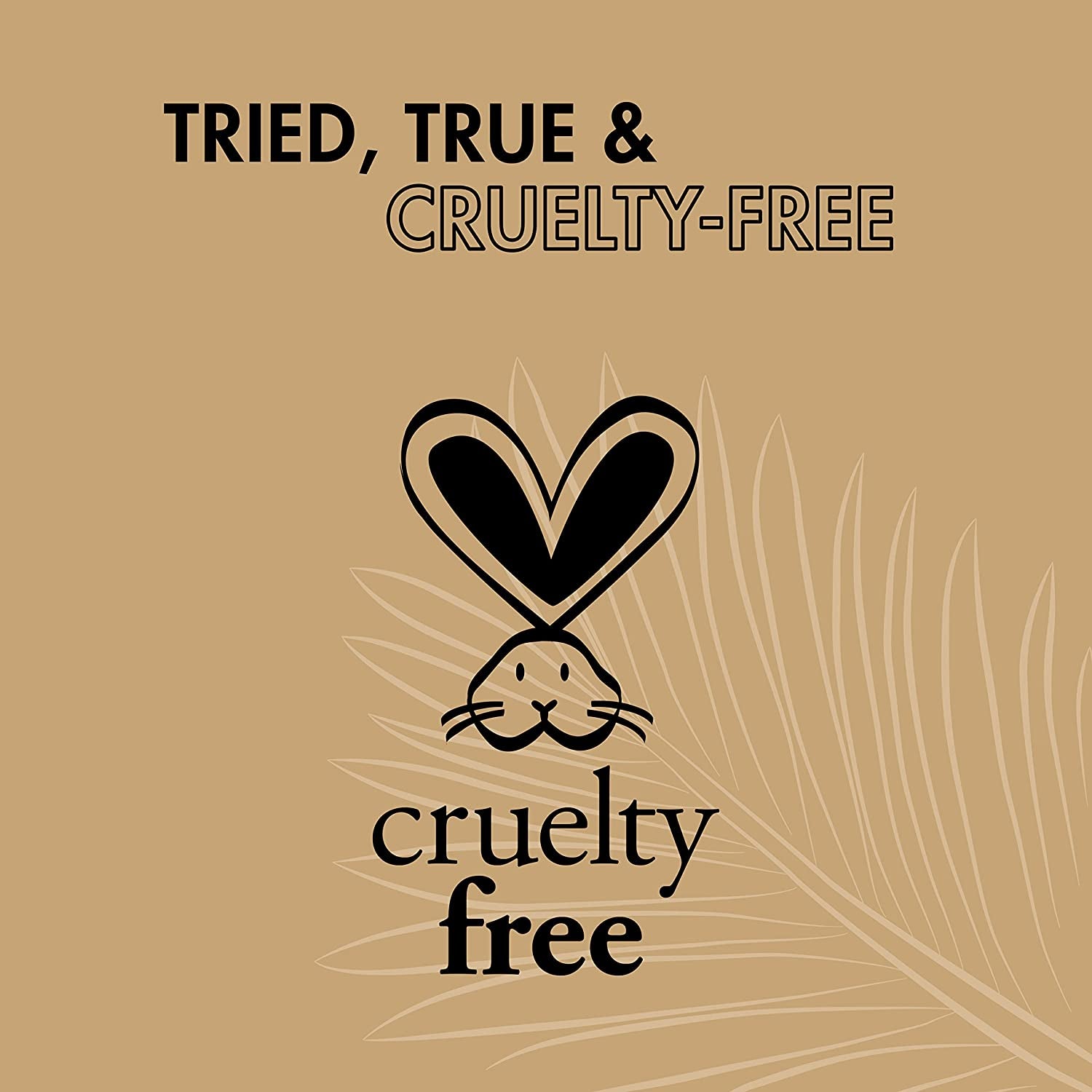 Sheamoisture Daily Hydration Body Oil Virgin Coconut Oil for Dry Skin Paraben Free 8 Oz